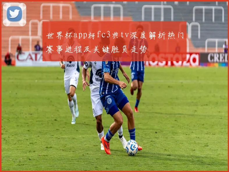世界杯app柯fc3典tv深度解析热门赛事进程及关键胜负走势