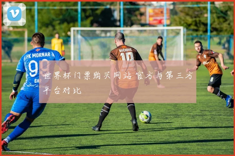 世界杯门票购买网站 官方与第三方平台对比