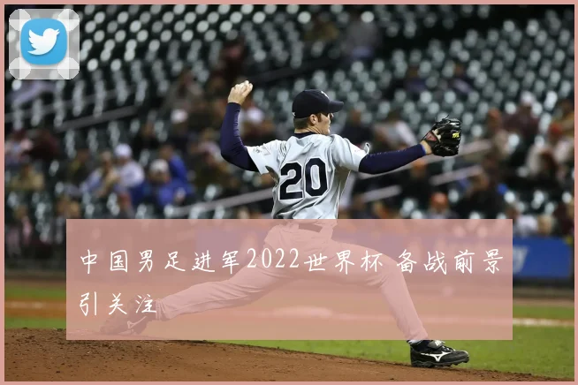 中国男足进军2022世界杯 备战前景引关注