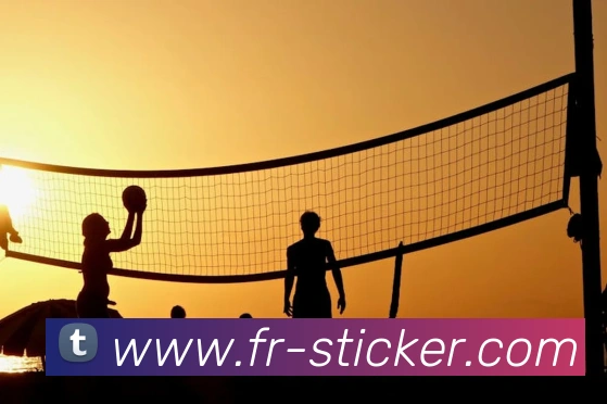 开云网页版入口手机版平台生态图