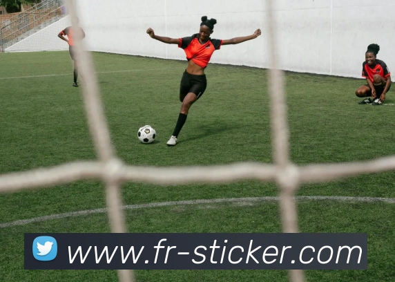 开云网页版入口手机版APP 封面图